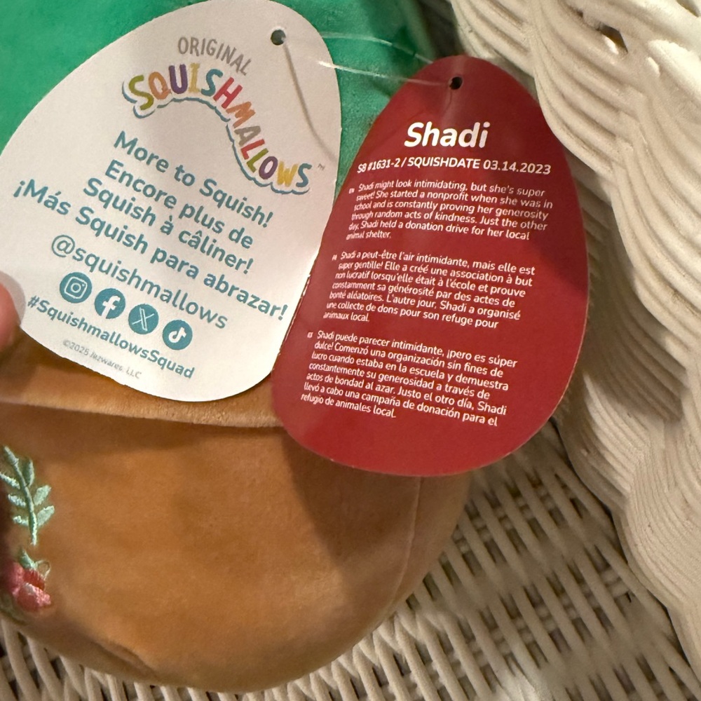 Squishmallows Shadi the Cactus 8” Plush – Valentine’s Edition Purple Flower– NWT - Picture 4 of 11
